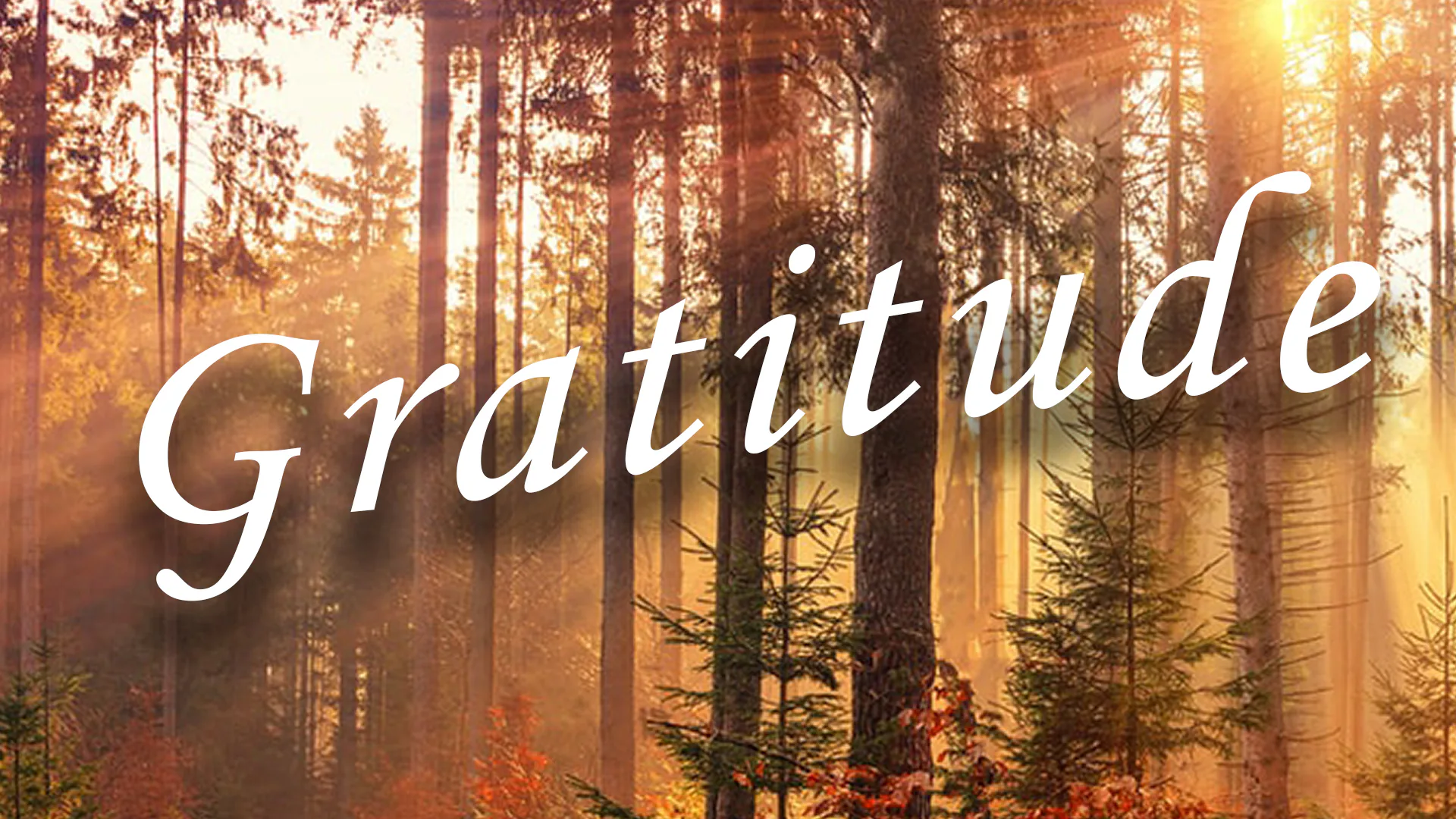 Grateful