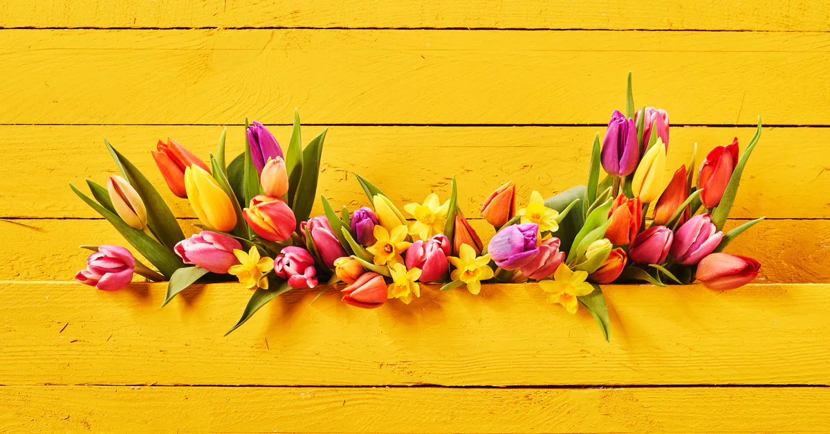 Springtime